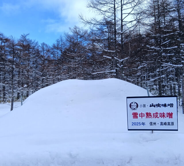 雪中熟成